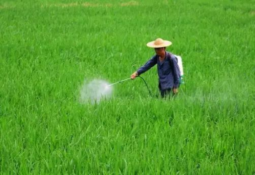 1658973892118043.png 5.png